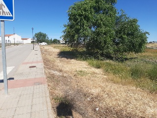 PILAREJO 22