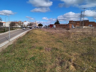 PILAREJO 4