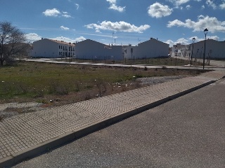 PILAREJO 7