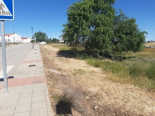 PILAREJO 10