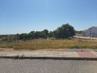 PILAREJO 12