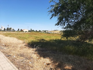 PILAREJO 13
