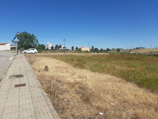 PILAREJO 14