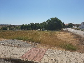 PILAREJO 15
