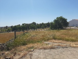 PILAREJO 16