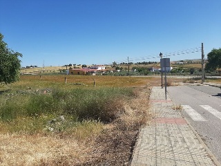 PILAREJO 17