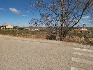 PILAREJO 3
