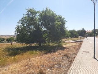 Pisos banco Azuaga