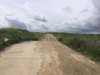 DE SANTA JUANA (POLIGONO 5, PARCELA 50, S-14) 7