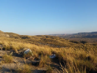 PICACHO,LEBRERA,ESTACADA 3