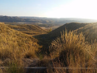 PICACHO,LEBRERA,ESTACADA 4