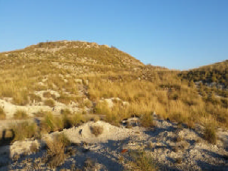 PICACHO,LEBRERA,ESTACADA 6