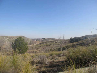 PICACHO,LEBRERA,ESTACADA 3