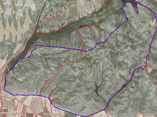 PICACHO,LEBRERA,ESTACADA 5