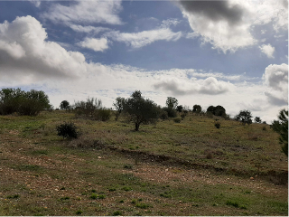 NUS-20 GOLF GUADIANA, MANZANAS C-3.A 6