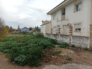 L'ESTACIO 5