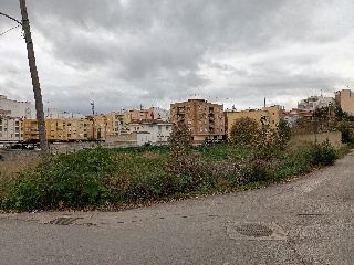 L'ESTACIO 8