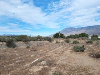 PRE. LOMA DE LA MEZQUITA-SUS-66-ES 2