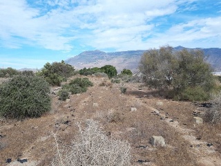 PRE. LOMA DE LA MEZQUITA-SUS-66-ES 3