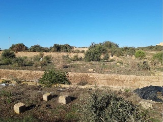 PRE. LOMA DE LA MEZQUITA-SUS-66-ES 11