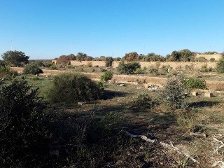 PRE. LOMA DE LA MEZQUITA-SUS-66-ES 13