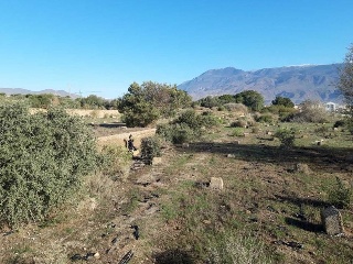 PRE. LOMA DE LA MEZQUITA-SUS-66-ES 14