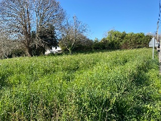 SEIXEDA 3