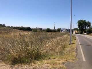 del Lago 2