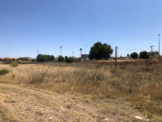 del Lago 6