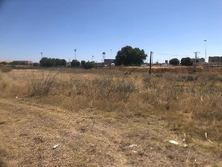 del Lago 7