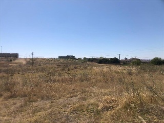 del Lago 8