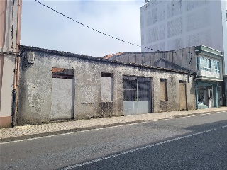 CONSTITUCIÓN 5