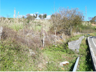 CL. CORNOCIO, N.S/N, P.SP 2