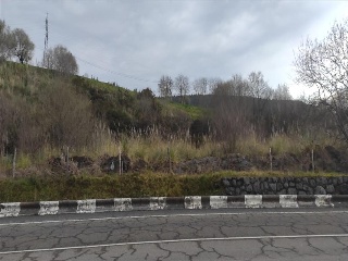 CL. CORNOCIO, N.S/N, P.SP 4