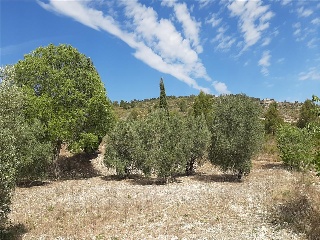 Pisos banco Ontinyent
