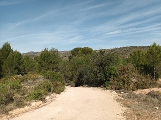 LES ALQUERIES 7 PARTIDA.NUMERO 6 Polígono 6 Parcela 2