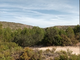 LES ALQUERIES 7 PARTIDA.NUMERO 6 Polígono 6 Parcela 9