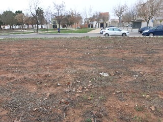 OLIVENZA 3