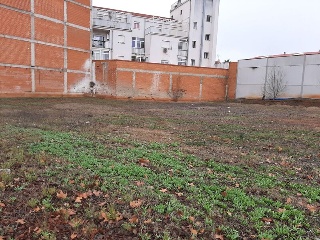 OLIVENZA 5