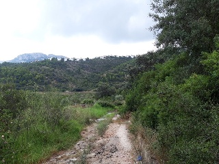 Otros en venta en Dénia