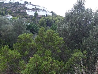 AV. MONTE PEGO, P.PARC, Po.66C 4