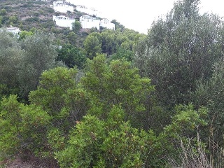 AV. MONTE PEGO, P.PARC, Po.66C 5