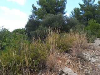 AV. MONTE PEGO, P.PARC, Po.66C 6