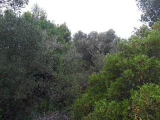 AV. MONTE PEGO, P.PARC, Po.66C 7