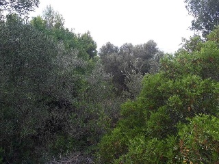 AV. MONTE PEGO, P.PARC, Po.66C 8