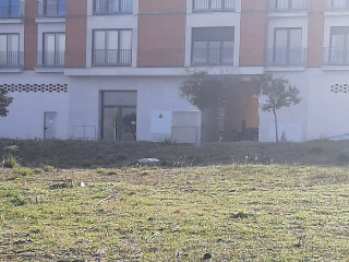 PLAZA TOROS 3
