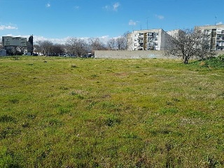 SAN ISIDRO 4