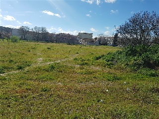 SAN ISIDRO 5