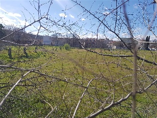 SAN ISIDRO 6