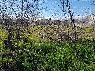 SAN ISIDRO 7